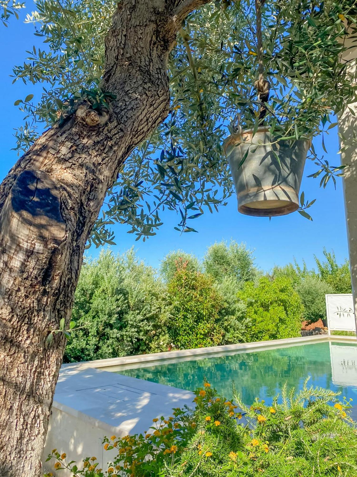 La Mignola Villa Fasano Luaran gambar